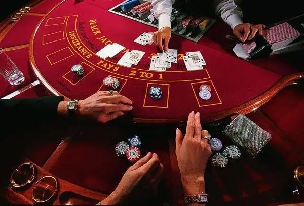apaldo apk account dashboard showing wins and betting results on mobile